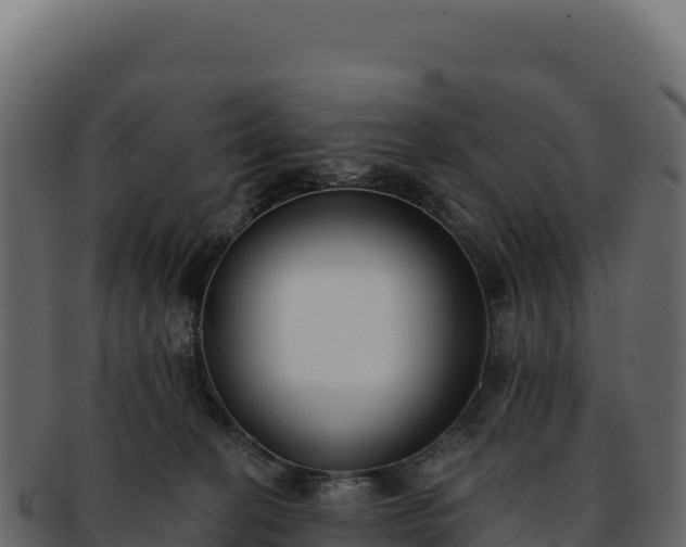 X0000092300274200710041453