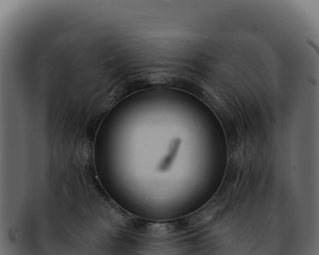 X0000092300277200710041453