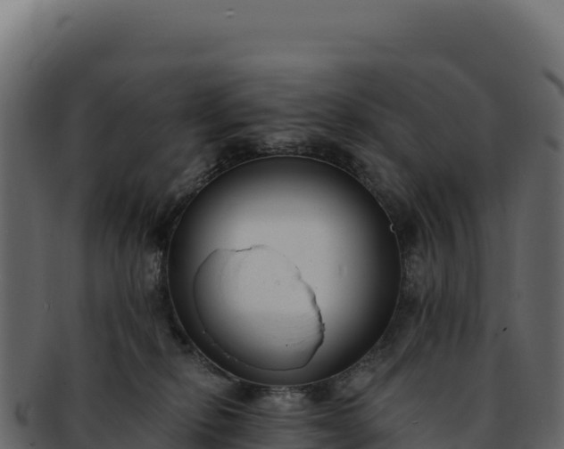 X0000092300278200710041453