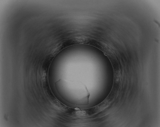 X0000092300279200710041453