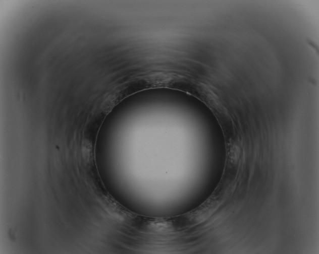 X0000092300283200710041453