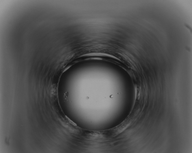 X0000092300284200710041453