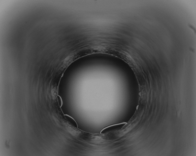 X0000092300285200710041453