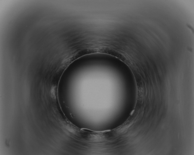 X0000092300286200710041453