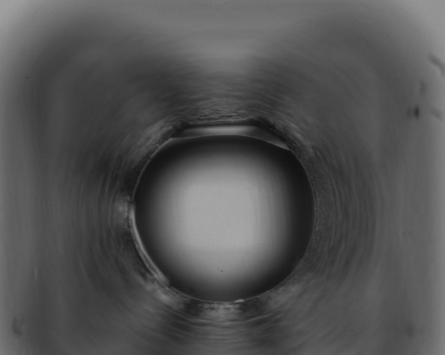 X0000092300288200710041453