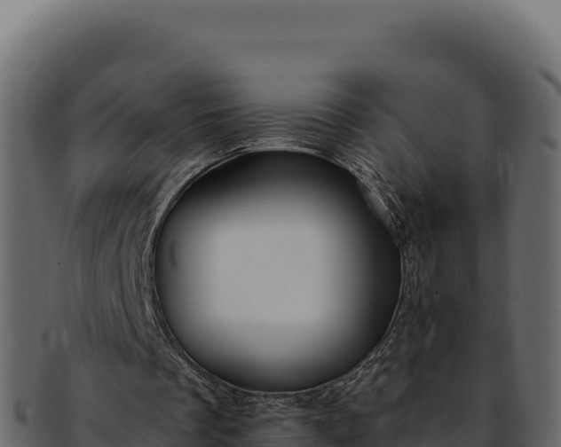 X0000092300289200710041452