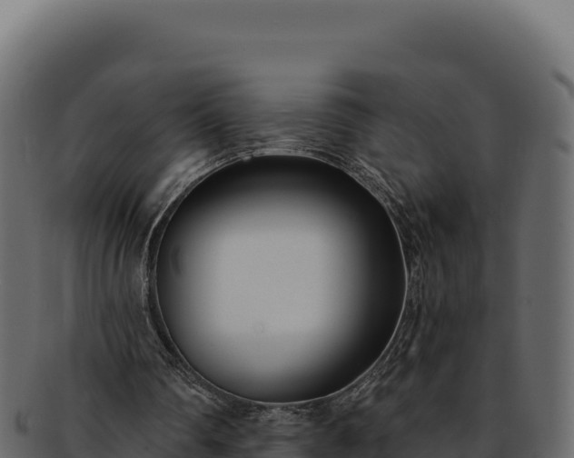 X0000092300290200710041452