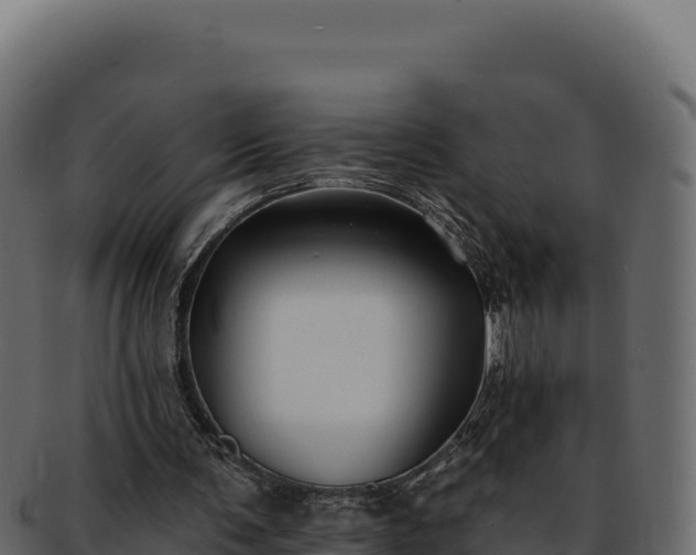 X0000092300291200710041452