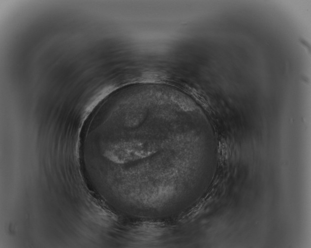 X0000092300292200710041452