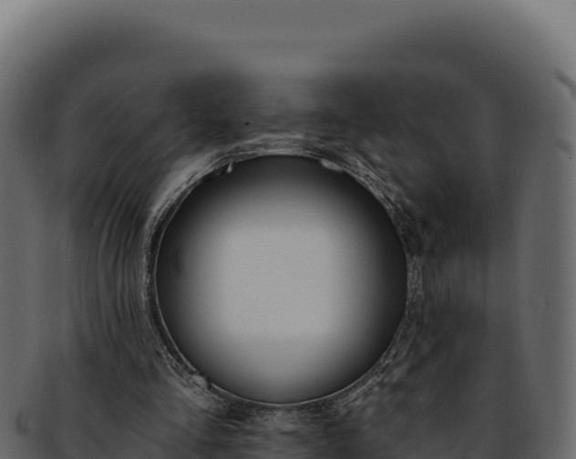 X0000092300293200710041452