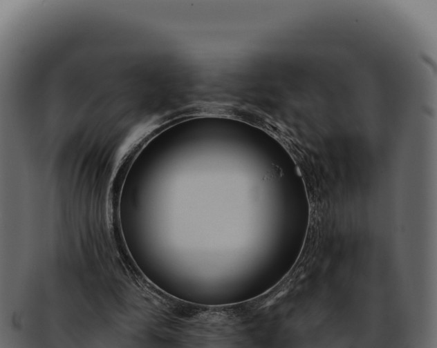 X0000092300294200710041452