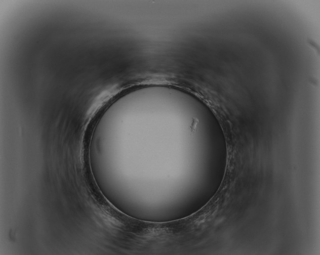 X0000092300296200710041452