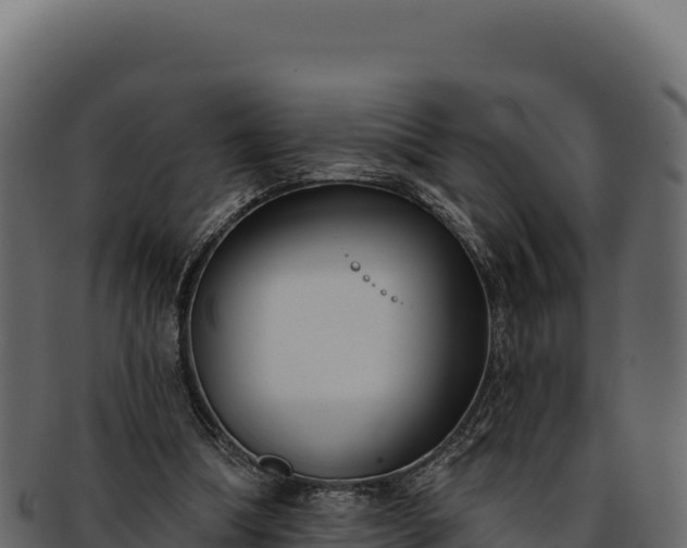 X0000092300298200710041452