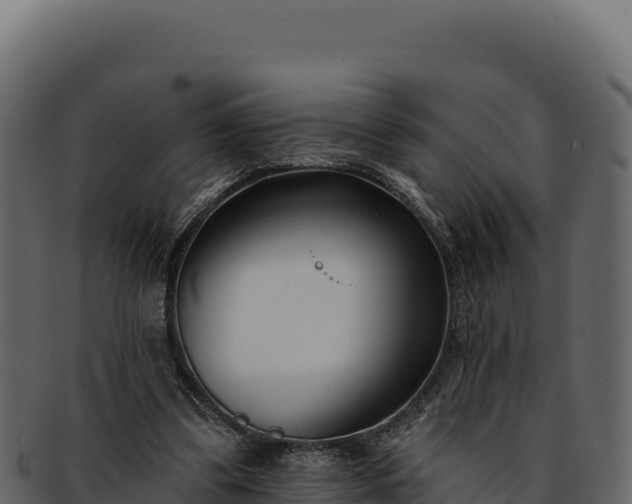 X0000092300299200710041452