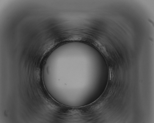 X0000092300300200710041452