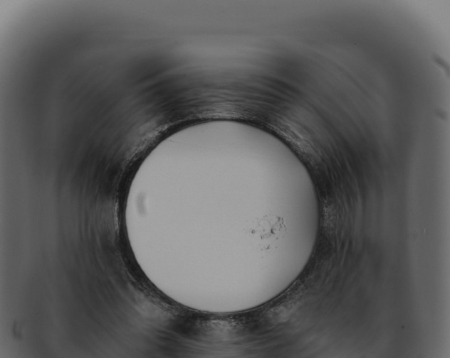 X0000092300302200710041452