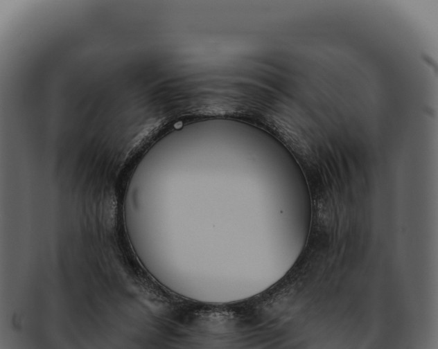 X0000092300304200710041452