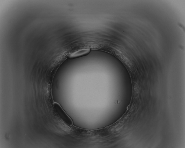 X0000092300305200710041452