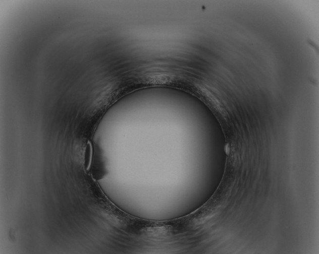 X0000092300307200710041452