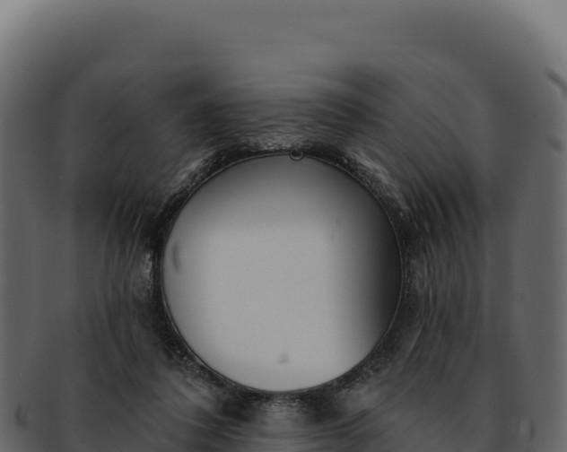 X0000092300308200710041452