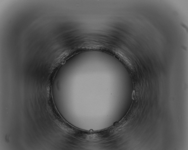 X0000092300309200710041452