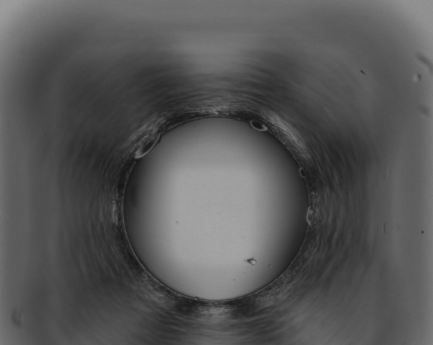 X0000092300313200710041452