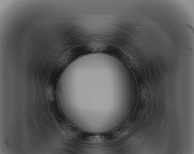 X0000092300316200710041452