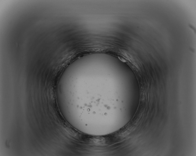 X0000092300317200710041452