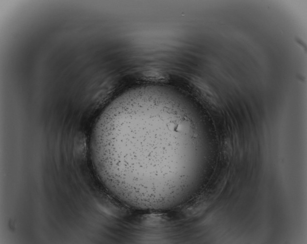 X0000092300320200710041452