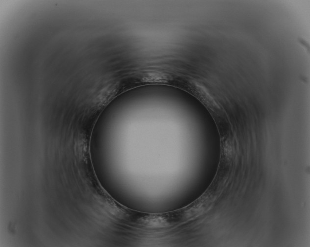 X0000092300322200710041452