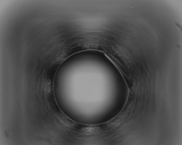 X0000092300323200710041452