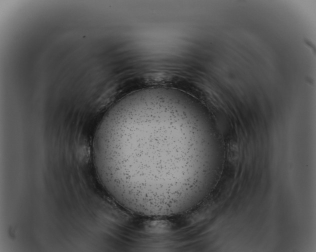 X0000092300324200710041452