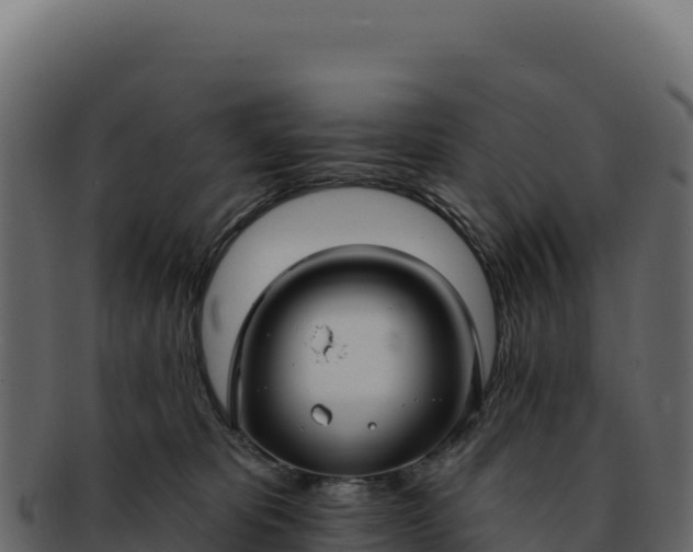 X0000092300325200710041452