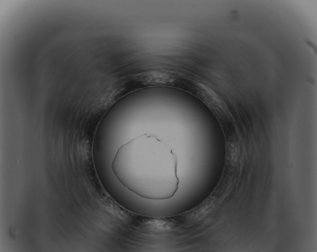 X0000092300326200710041452