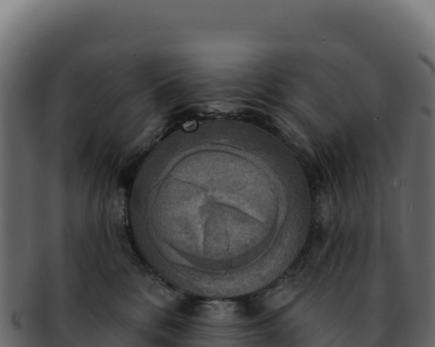 X0000092300328200710041452