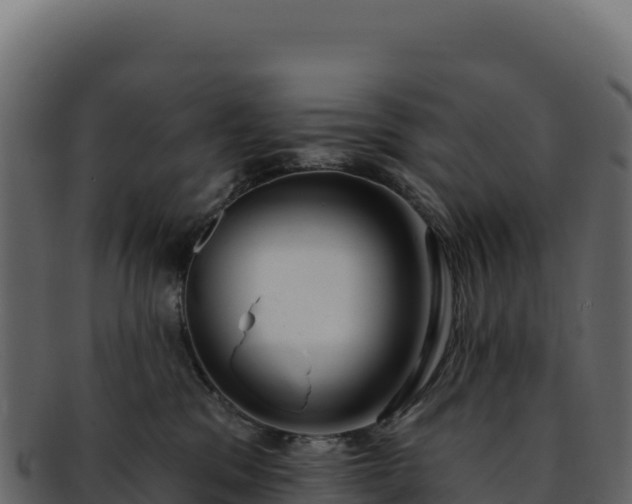 X0000092300329200710041452