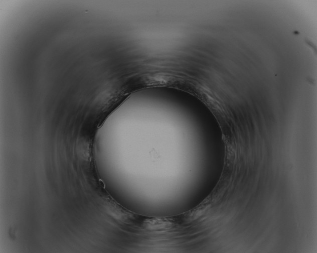 X0000092300331200710041452