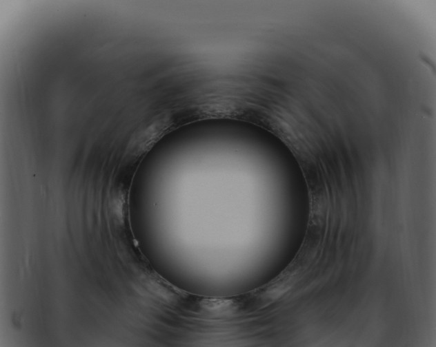 X0000092300334200710041452