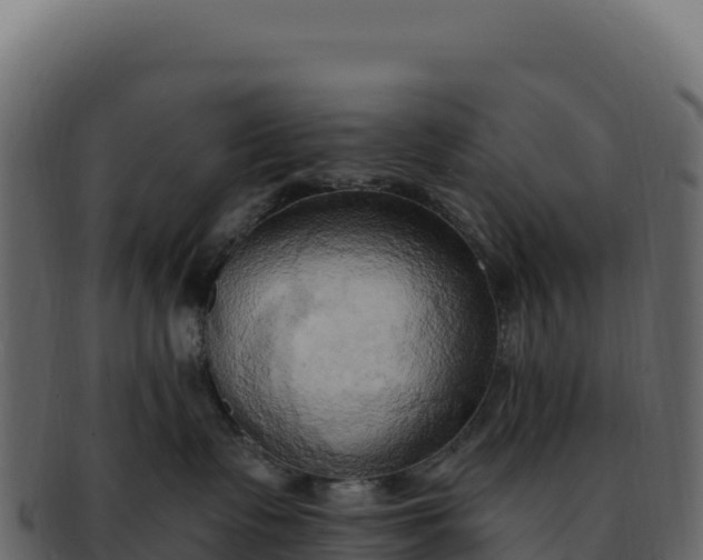 X0000092300335200710041452