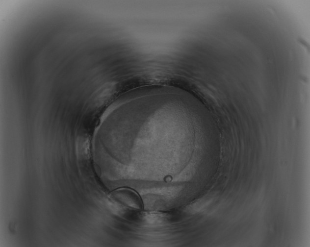 X0000092300336200710041452