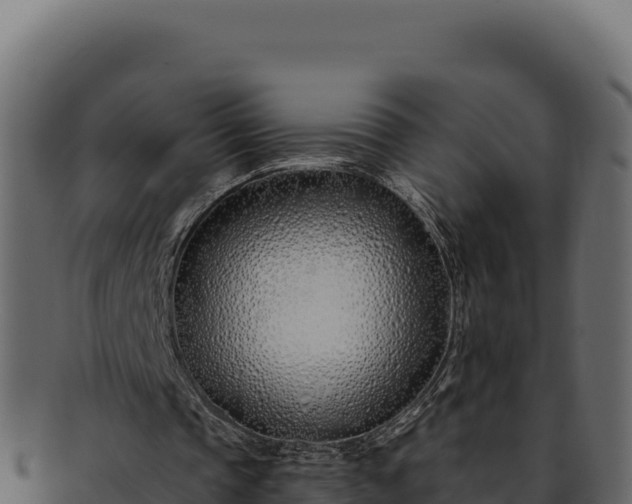 X0000092300337200710041451