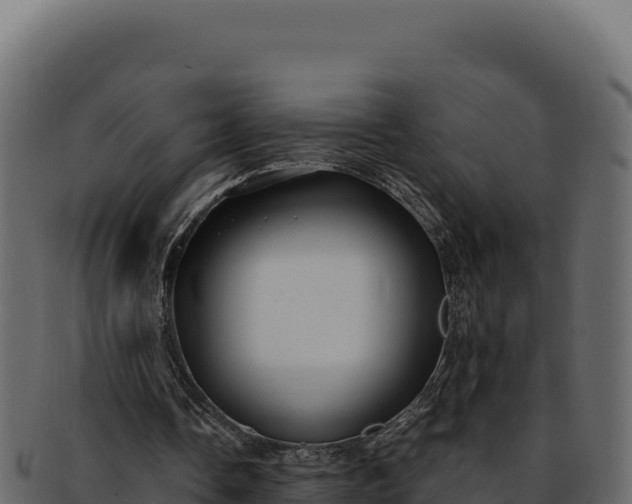 X0000092300338200710041451