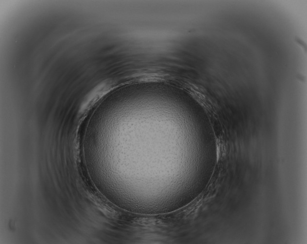 X0000092300339200710041451