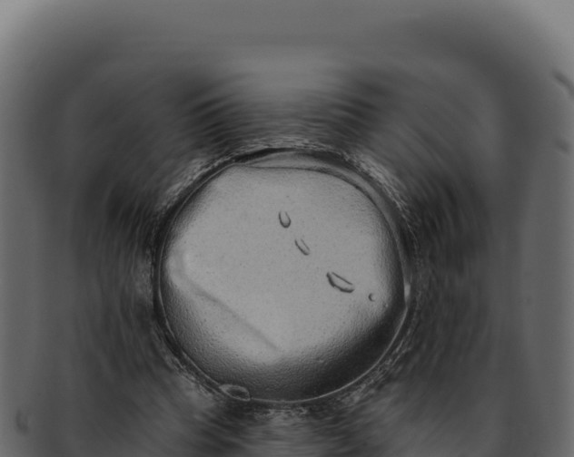 X0000092300345200710041451