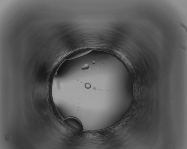 X0000092300346200710041451