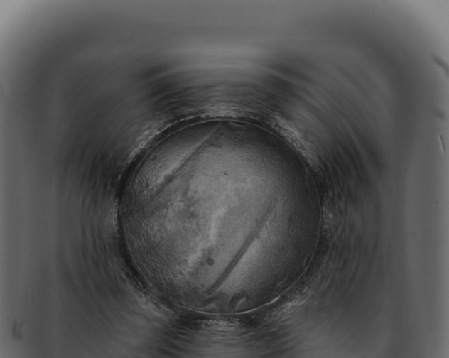 X0000092300347200710041451