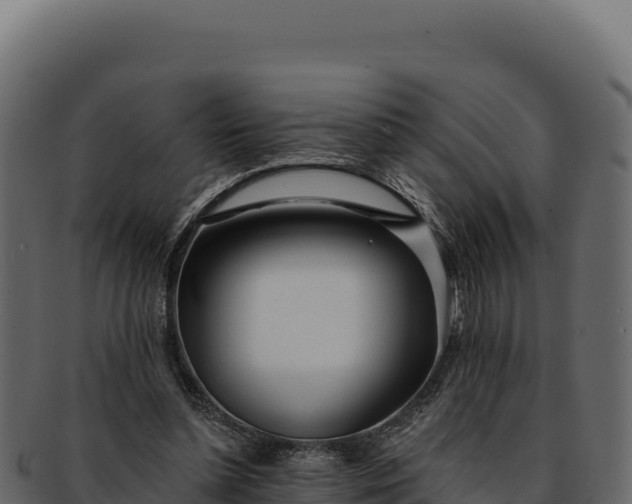 X0000092300348200710041451