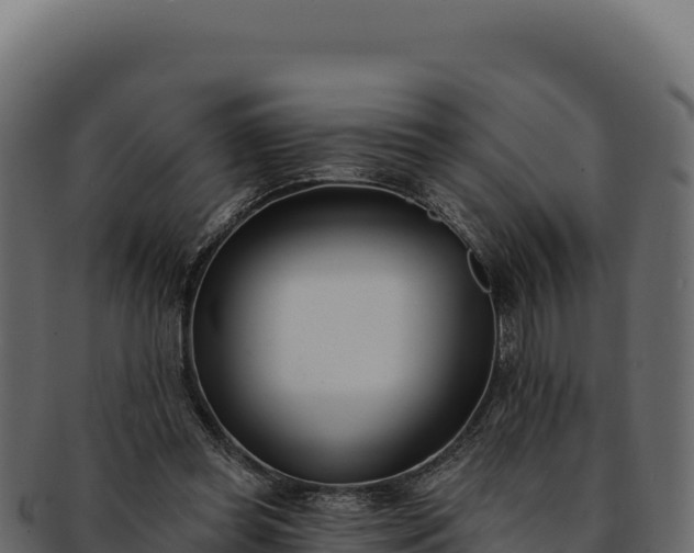 X0000092300349200710041451