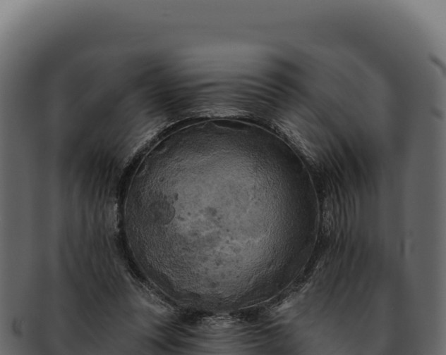 X0000092300351200710041451