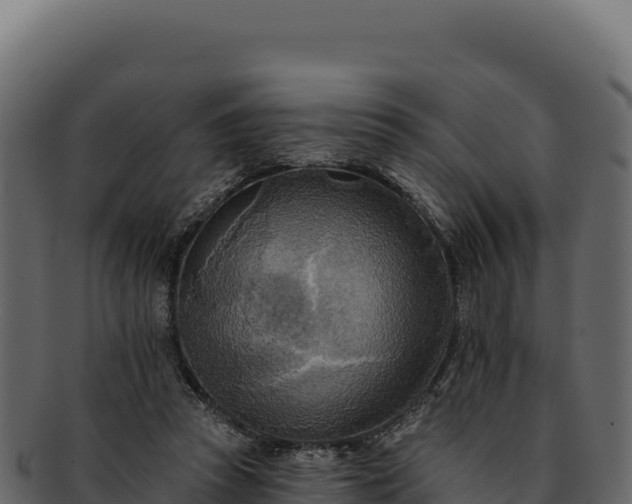 X0000092300353200710041451